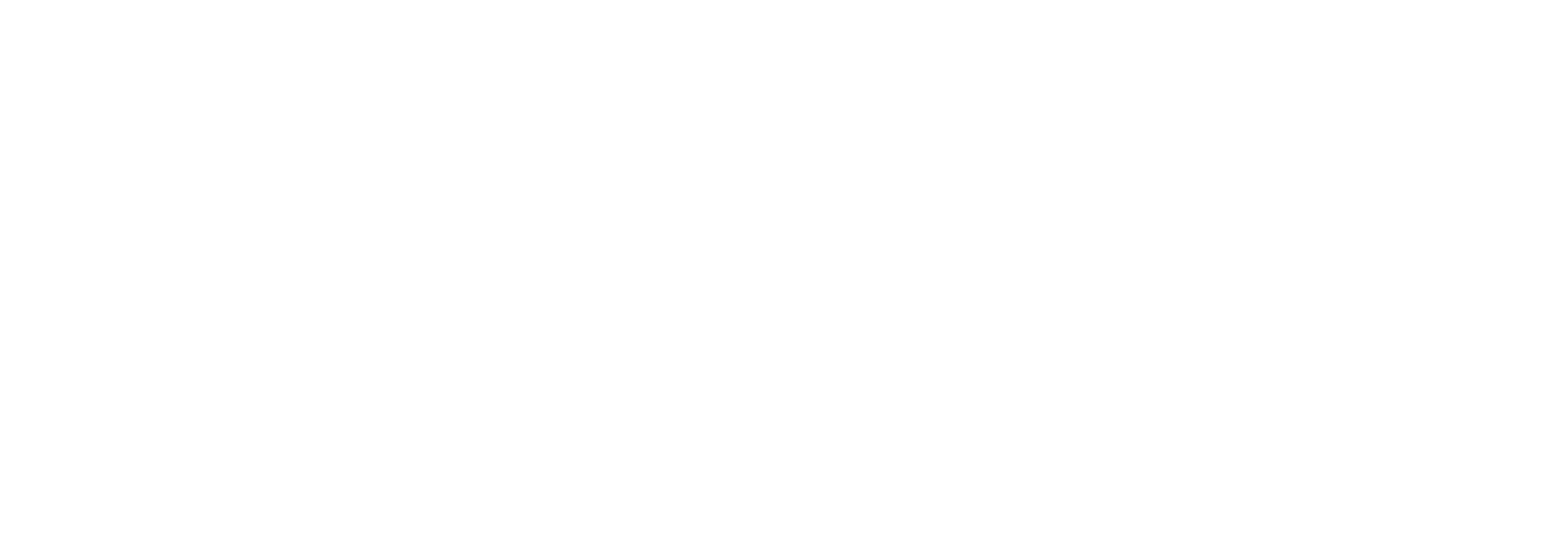 Pro Net Nouveau logo vectorisé BLANC