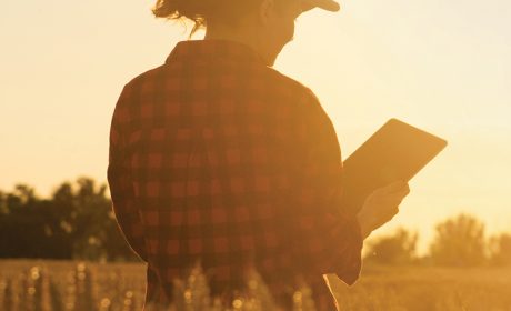 Person looking at a tablet in a field