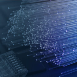 Fiberee The Power of Fibre | Xplore Business