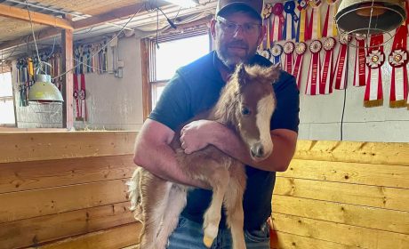 Xplore Customer Craig of Lacombe Alberta holding a miniature horse