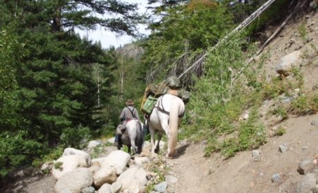 Horses back riding at Spurce Lake