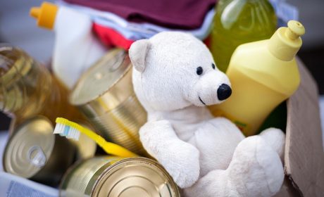 Teddy Bear in a donation box
