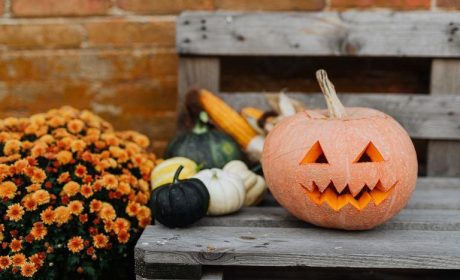 Halloween pumpkin on a bench outside