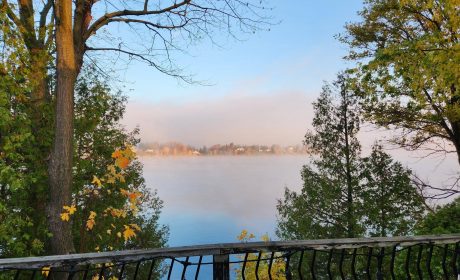 Susan Nutbrown's Photo of Lake with Fast Internet at the Cottage