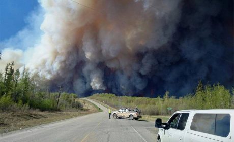 Cars pulled over to the side of the road with plumes of smoke in the distance