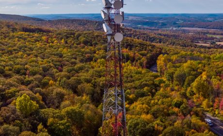 A cellular tower rising up over a forested region