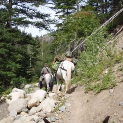 Horses back riding at Spurce Lake