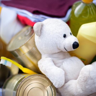 Teddy Bear in a donation box