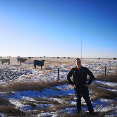 Man standing in a field with cows