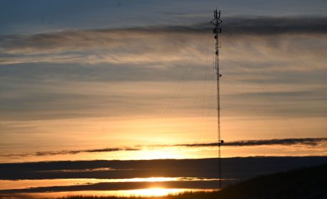 A photo of the Rob Bell Lake tower at sunset.