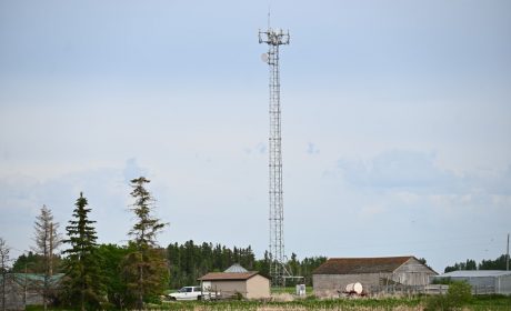 A photo of a cell tower located on a rural property.