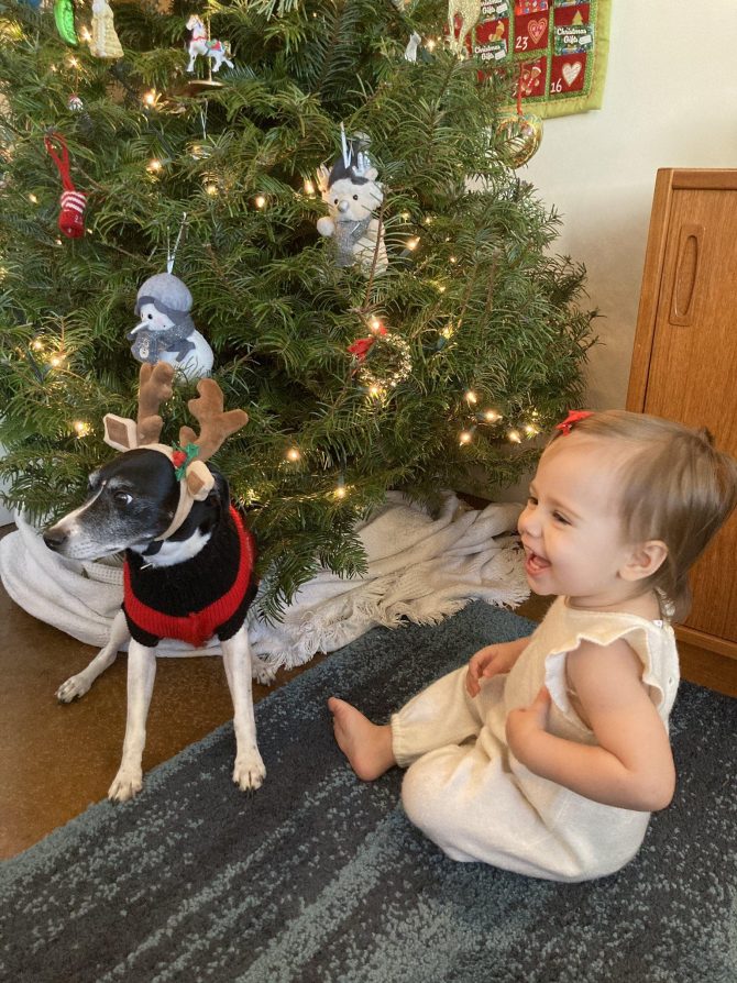 Baby and dog in front of christmas tree