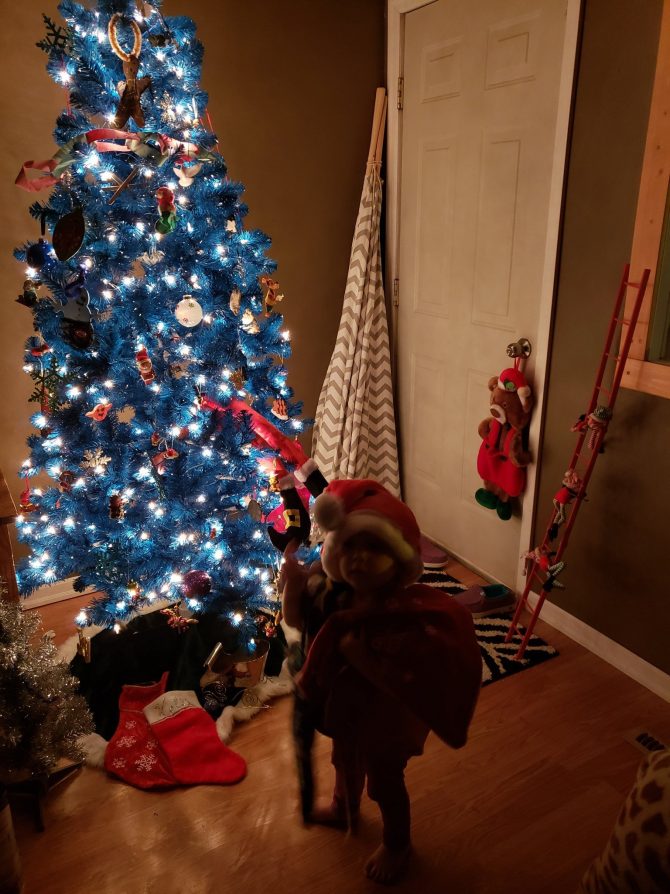 Dog in front of Christmas tree