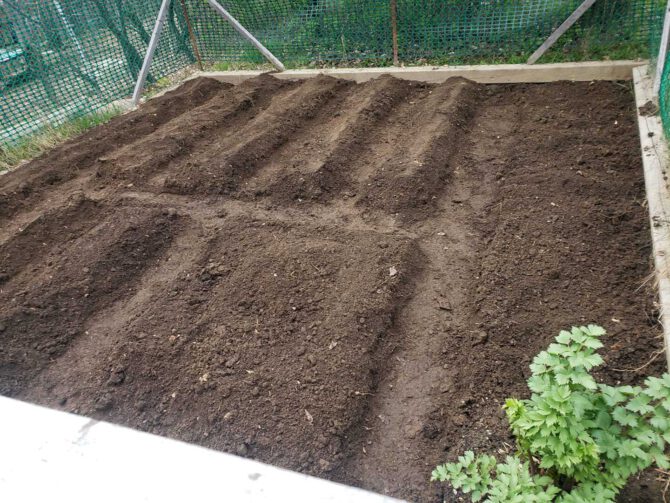 A photo of a freshly tilled garden.