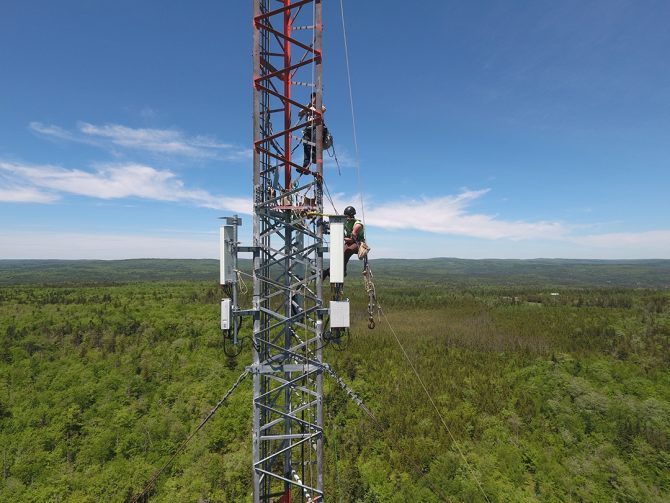 Tower in the forest