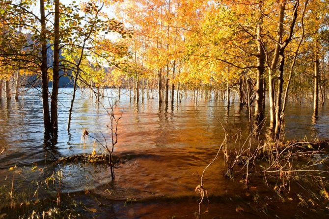 Fall scenery by a lake