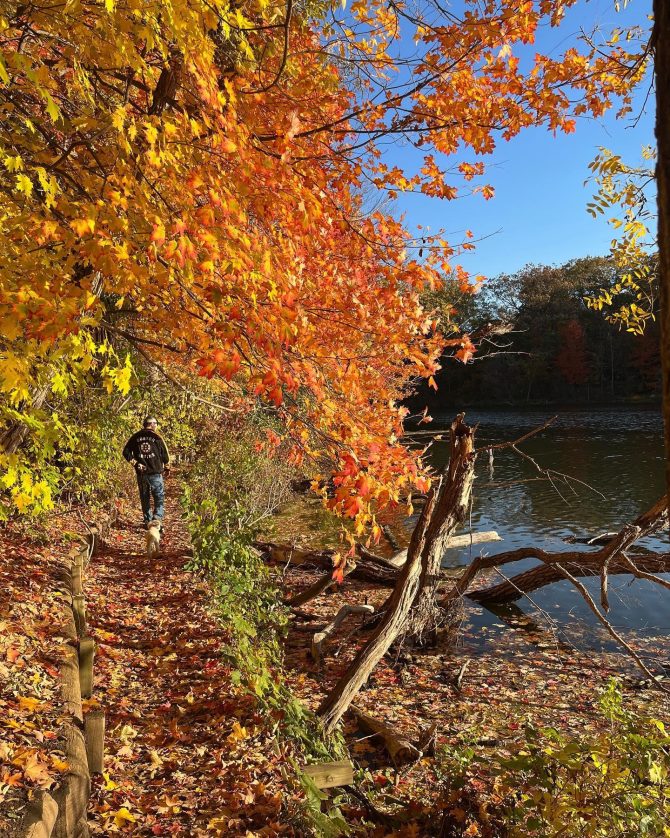 Fall scenery by the water