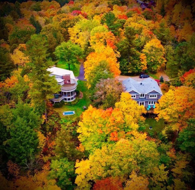 Fall scenery over a forest