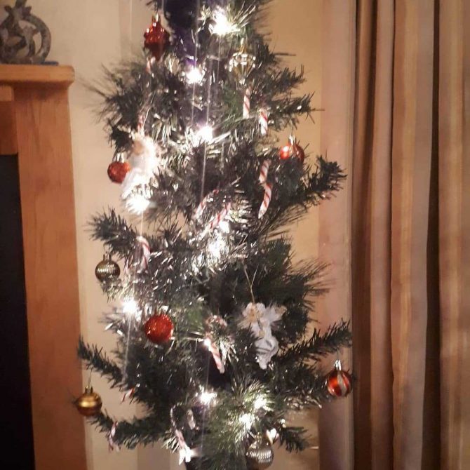 Christmas tree with lights on